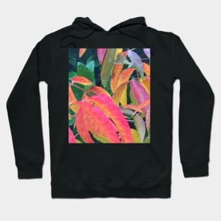 Rainbow Fall Leaves - The Autumn of Every Color Hoodie